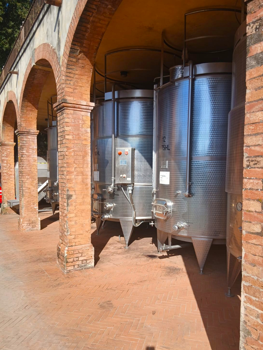Wine production area